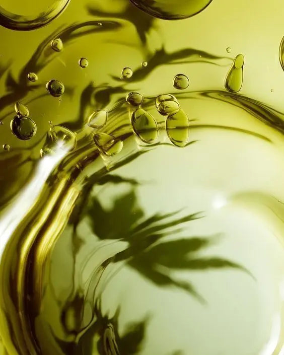 Ginkgo-Biloba-L-Antioxydant-Naturel-pour-un-Teint-Éclatant-et-un-Regard-Dégagé S.BOTANICA