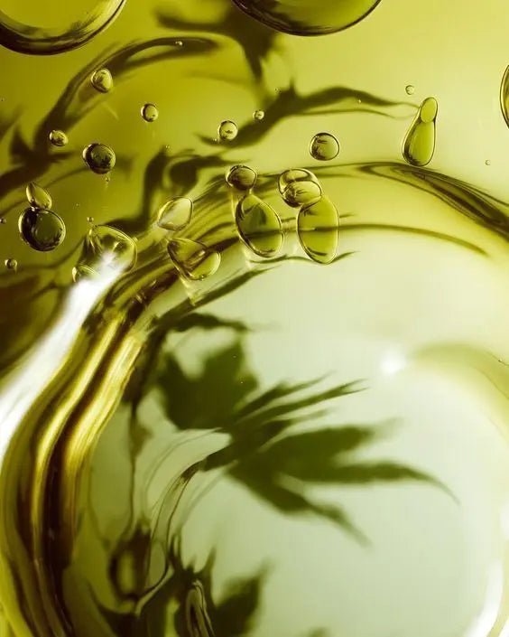 Ginkgo Biloba : L'Antioxydant Naturel pour un Teint Éclatant et un Regard Dégagé - S.BOTANICA